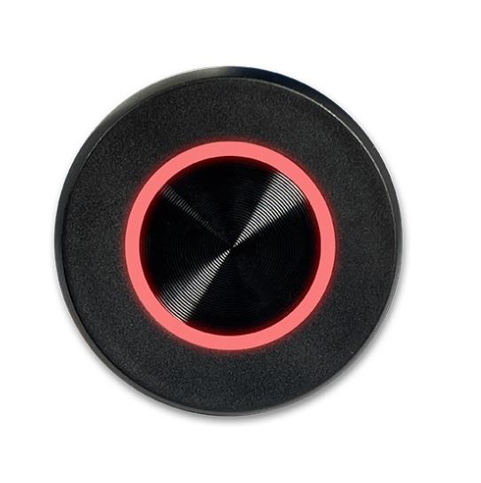 Boton de vida Garnet