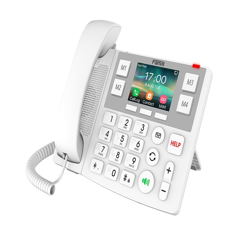 Big button IP phone